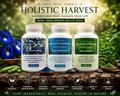 Holistic Harvest Blue Vitality 3-Pack Wellness Bundle - Butterfly Pea, Blue Spirulina, Moringa